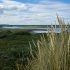 Flusslandschaft