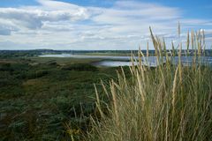 Flusslandschaft