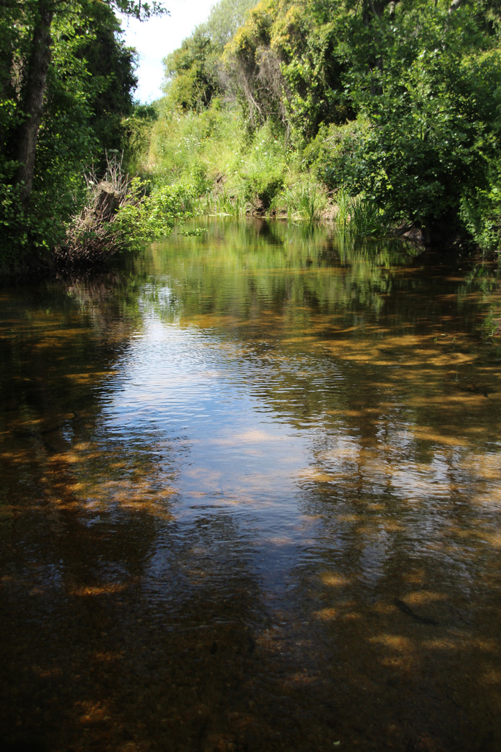 Flusslandschaft