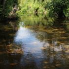 Flusslandschaft