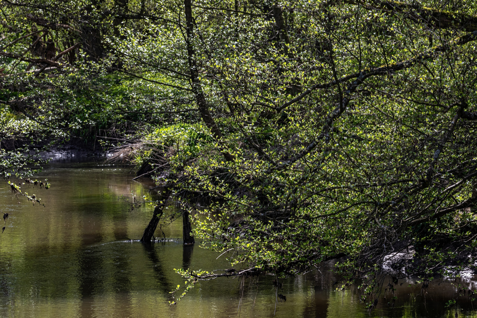 Flusslandschaft