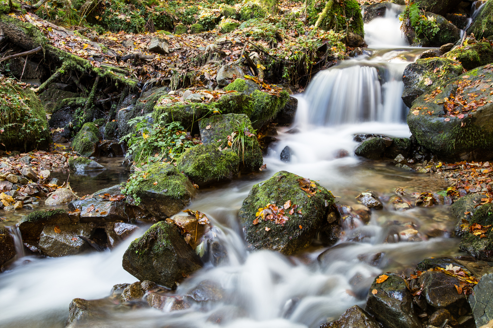 Flusslandschaft