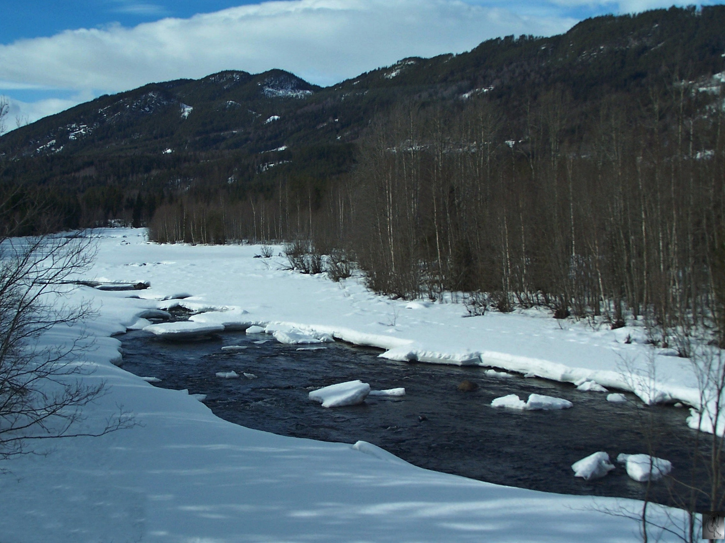 Flusslandschaft Eis und Schnee