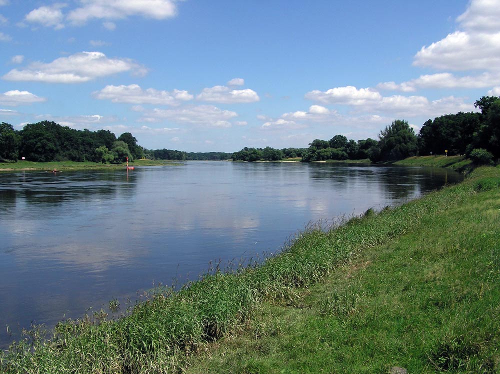 Flusslandschaft - Elbe