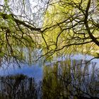 Flusslandschaft im Frühjahr (Nette in Nettetal)