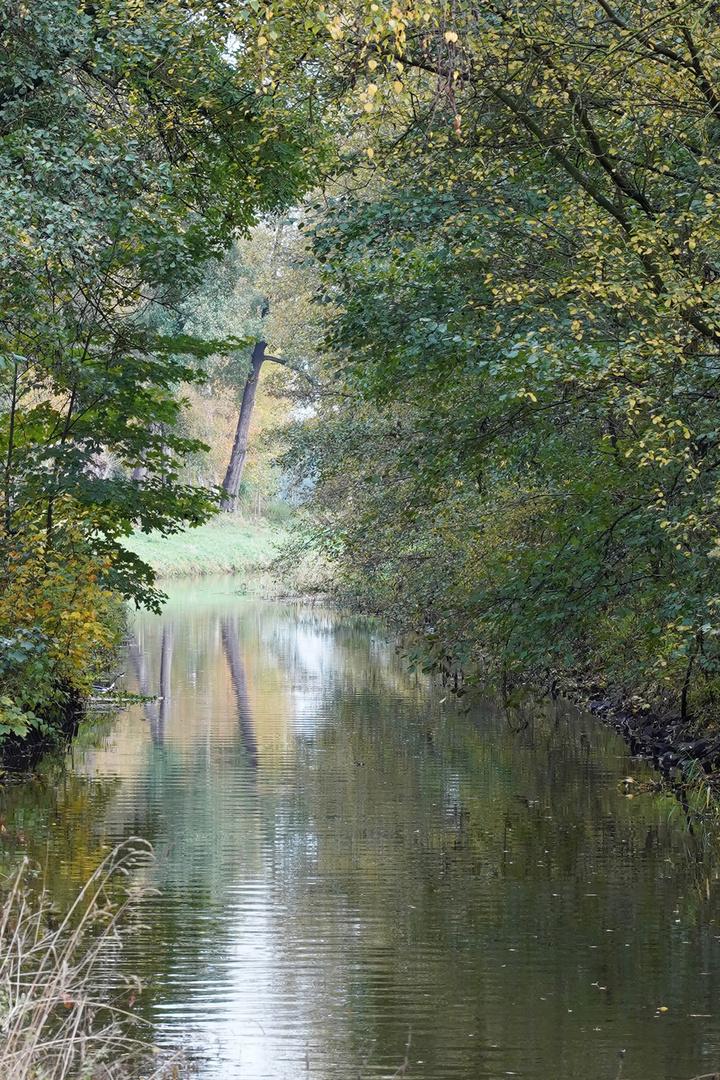 Flusslandschaft im Hersbst