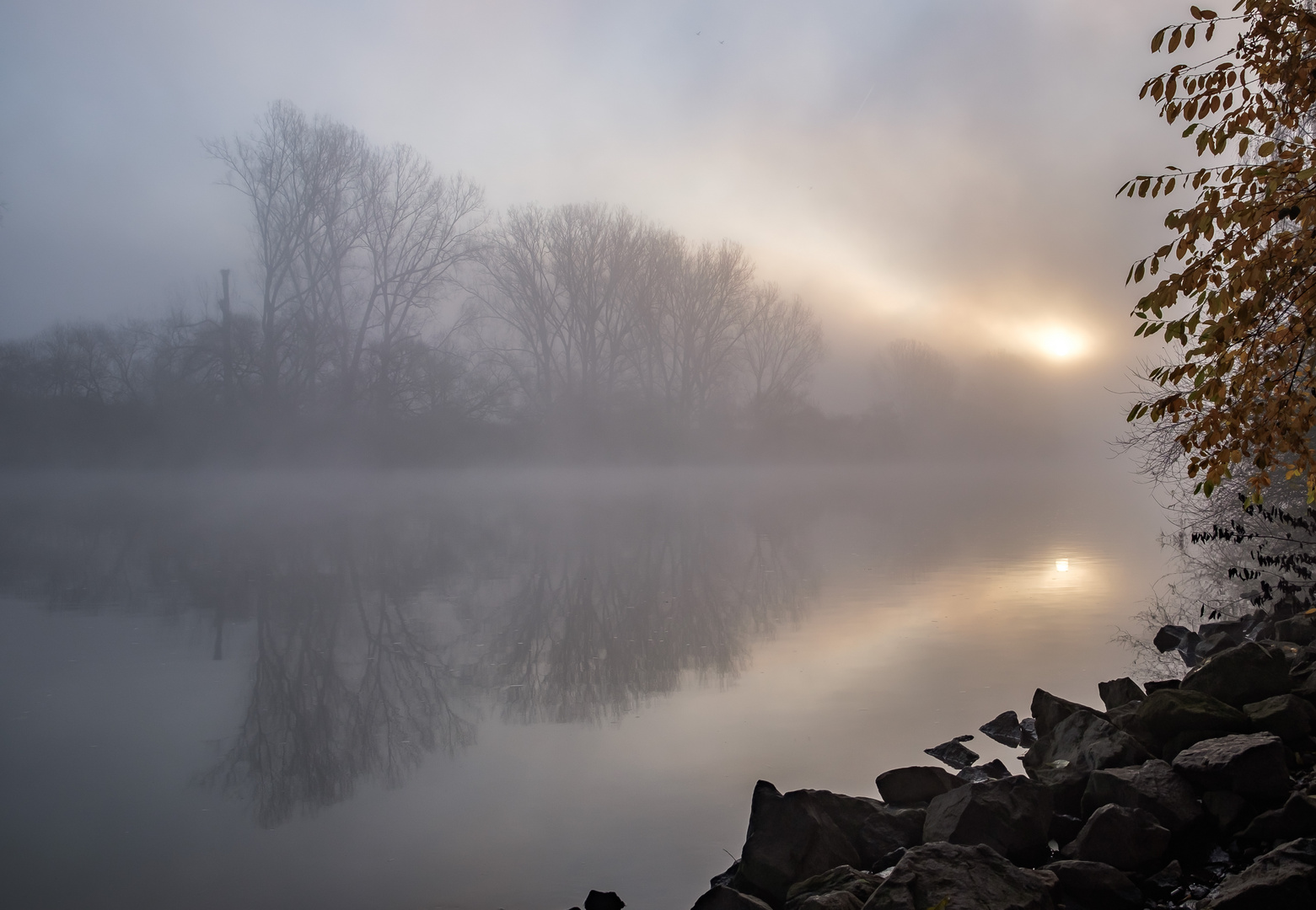 Flusslandschaft im Nebel