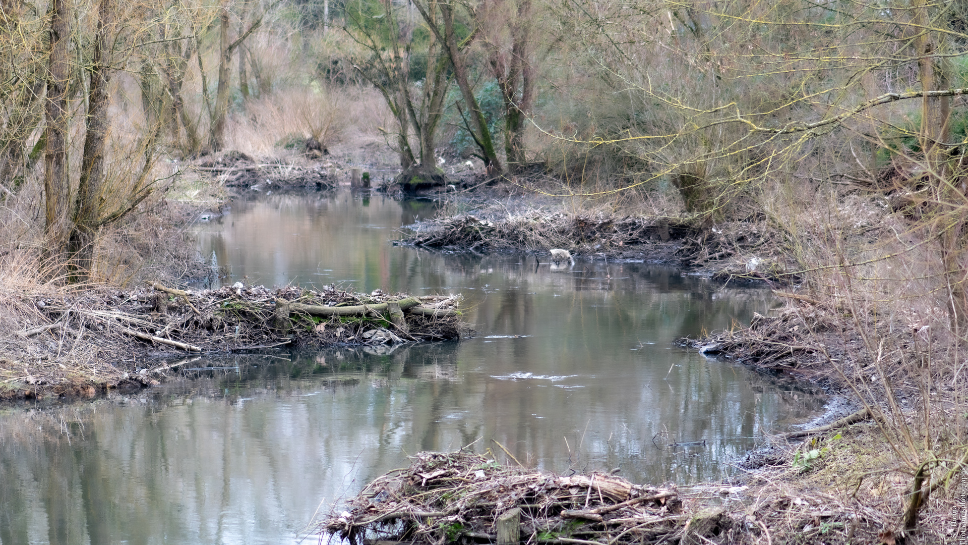 Flusslandschaft im Winter