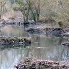 Flusslandschaft im Winter