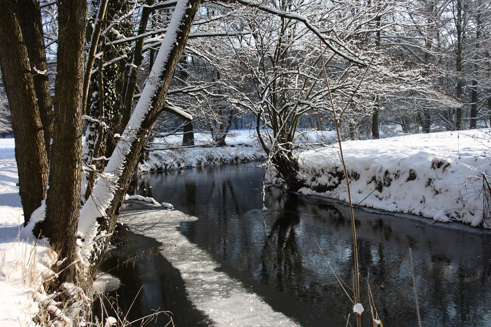 Flusslandschaft im Winter