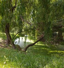 Flusslandschaft in Berlin 1