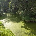 Flusslandschaft in Berlin 2