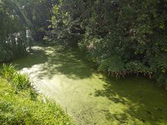 Flusslandschaft in Berlin 2