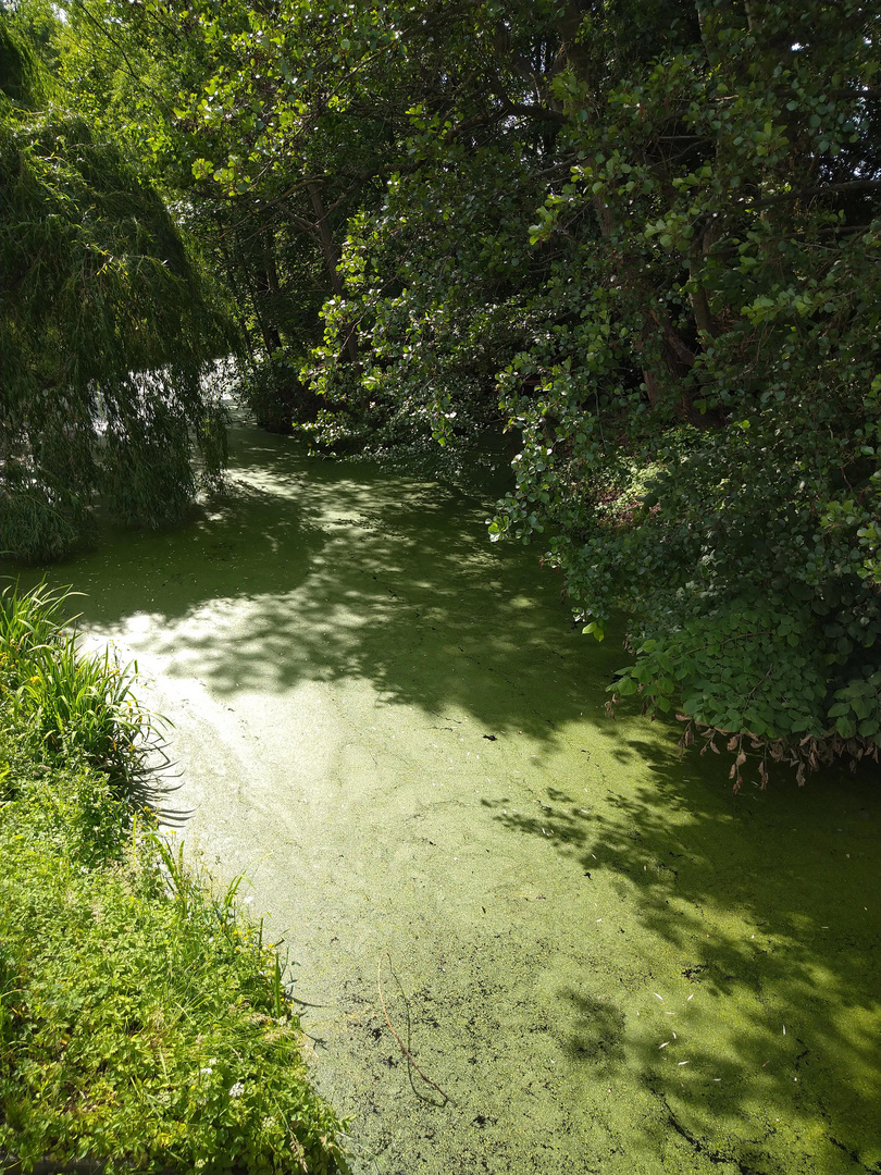 Flusslandschaft in Berlin 3