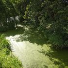 Flusslandschaft in Berlin 3