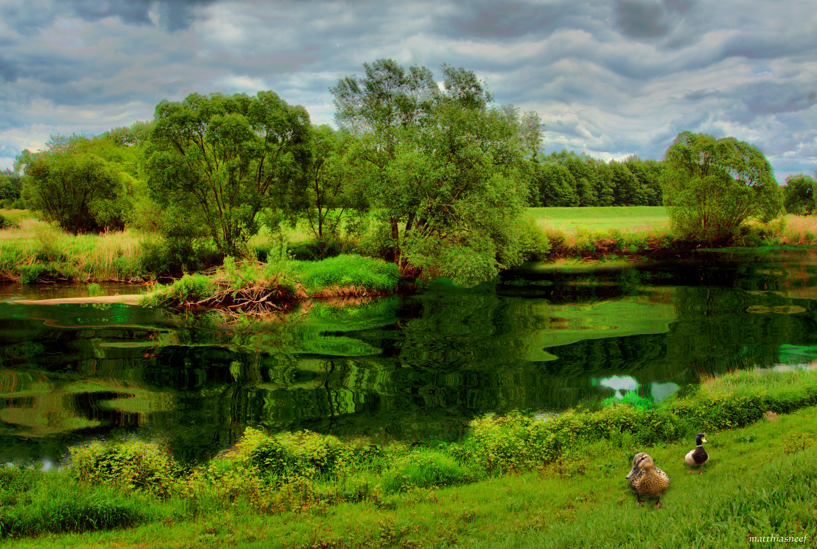 Flußlandschaft in Brandenburg