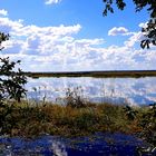 Flusslandschaft in der Mahango Game Reserve