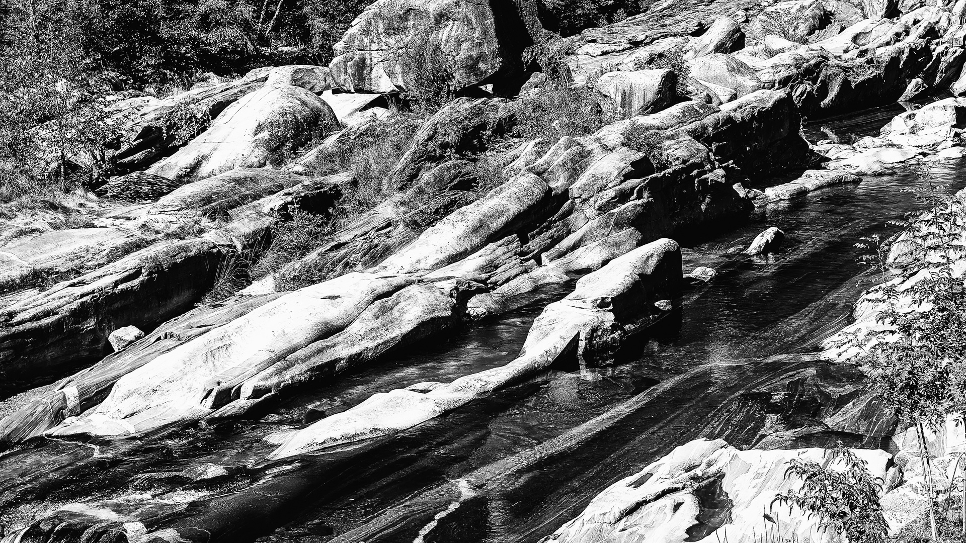 Flusslandschaft in der Schweiz