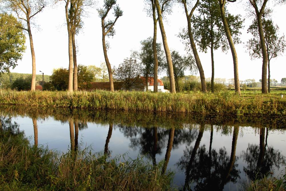 Flusslandschaft in Flandern