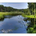 Flußlandschaft in Polen