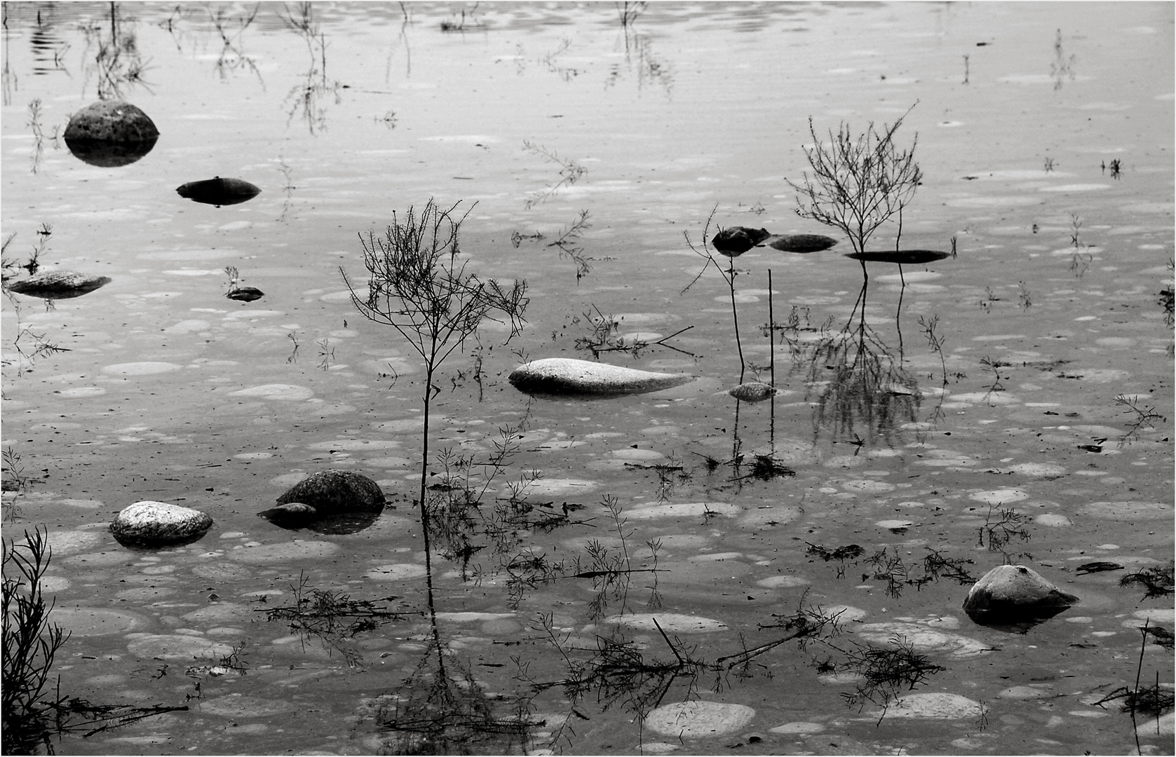 Flusslandschaft in Schwarz-Weiß.