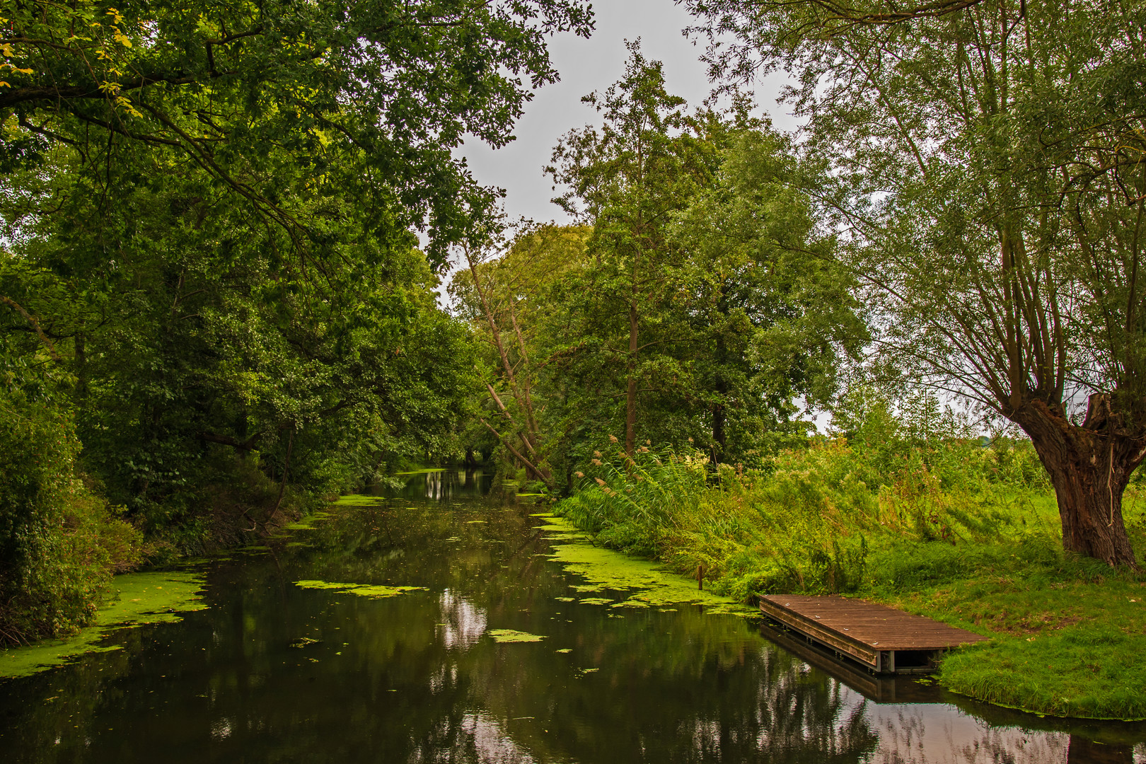 Flusslandschaft Löcknitz 