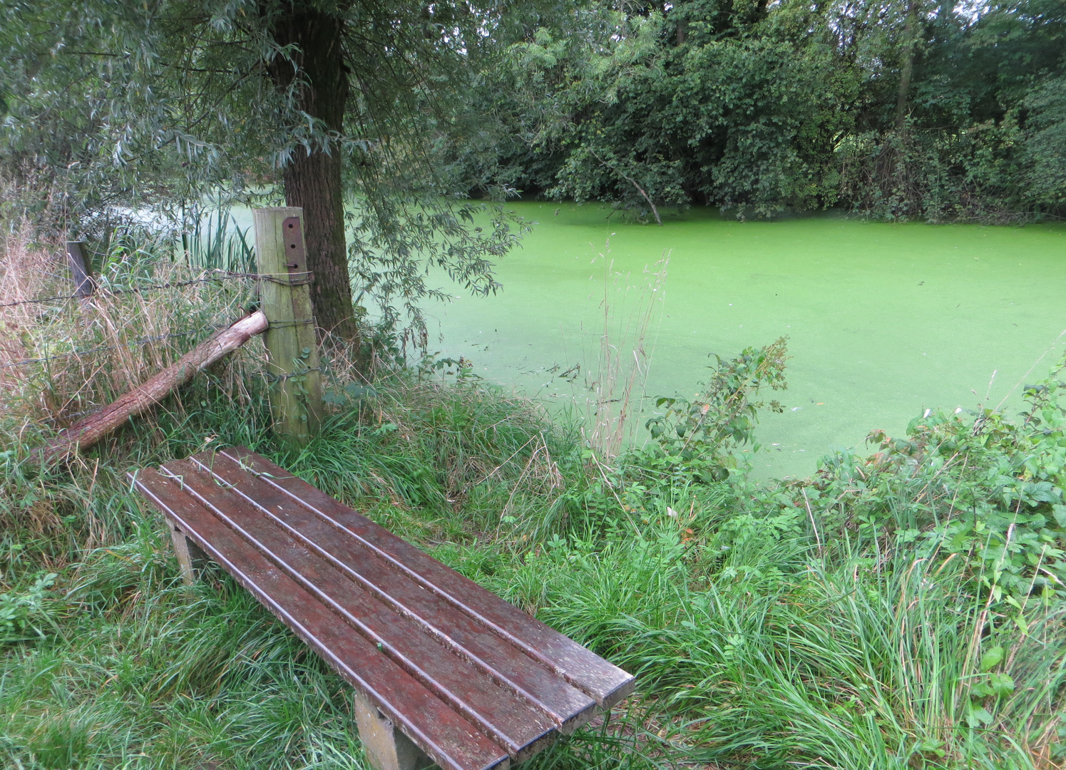 Flußlandschaft mit Bank