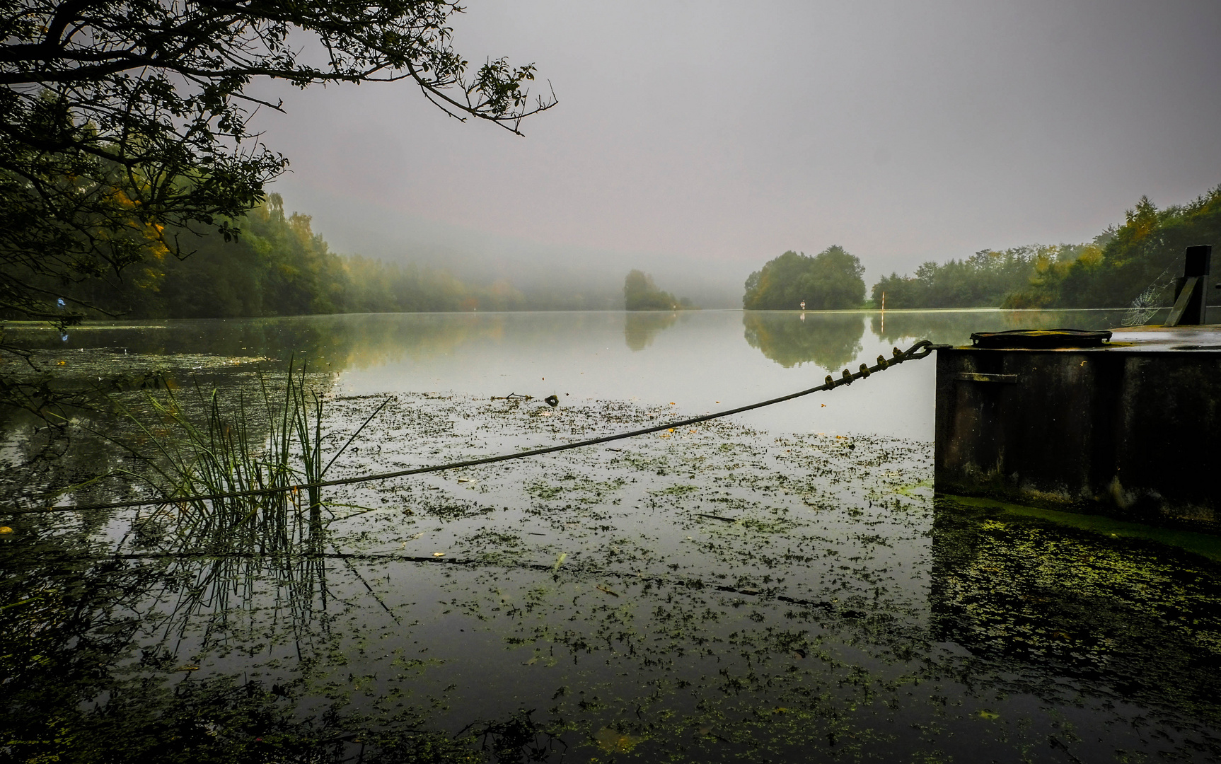 Flusslandschaft mit blauem Angler