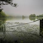 Flusslandschaft mit blauem Angler