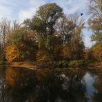 Flusslandschaft mit Krähe