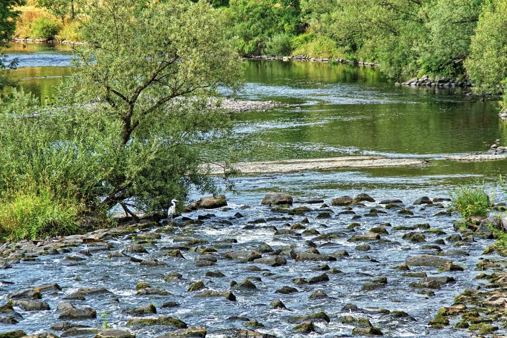 Flusslandschaft mit Reiher