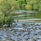 Flusslandschaft mit Reiher