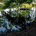 Flusslandschaft mit Spiegelung 