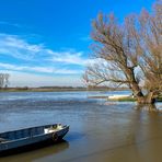 Flusslandschaft / Riverscape