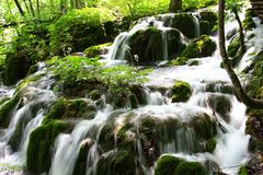 Flusslandschaft .............. saftiges Grün