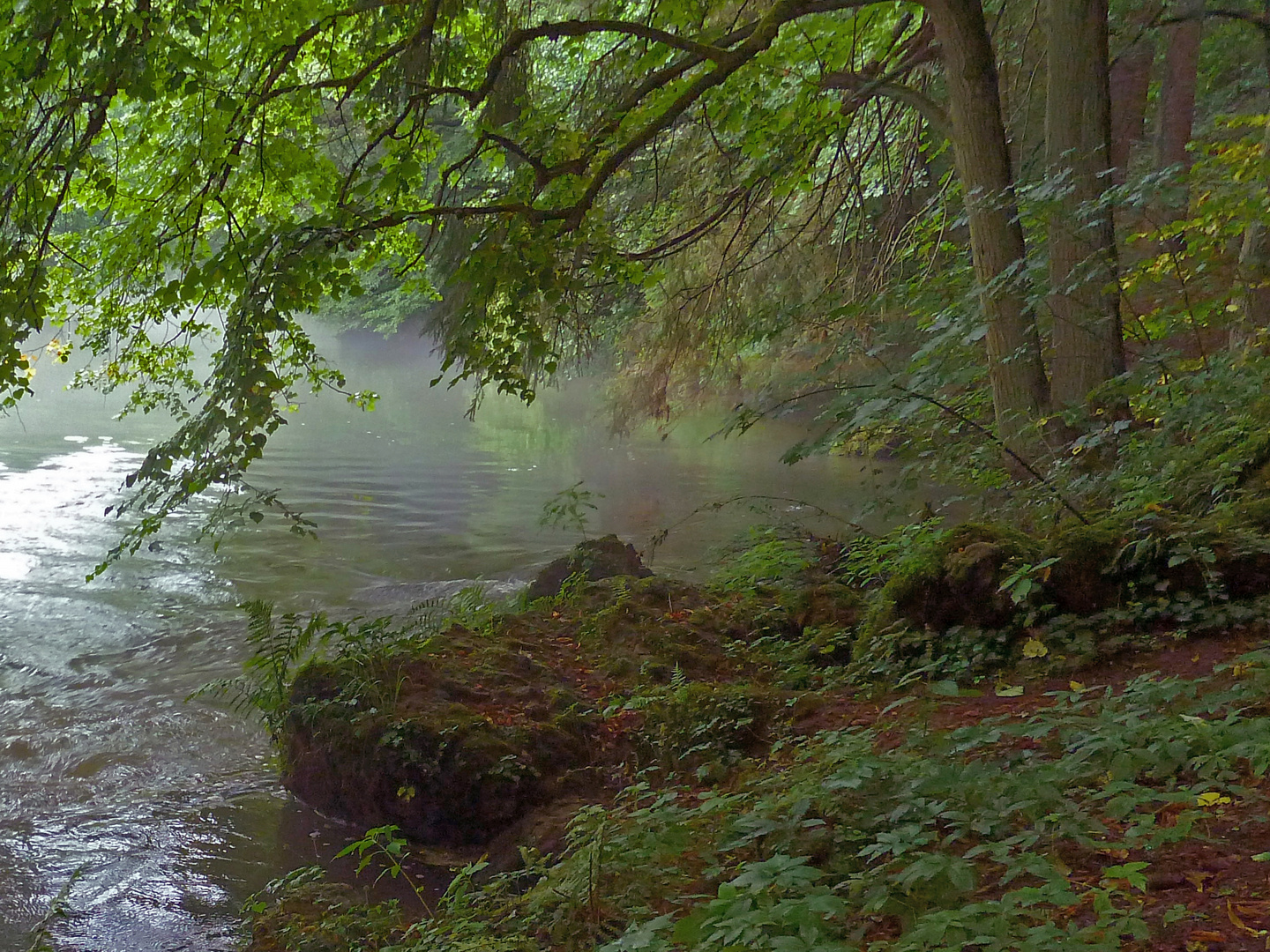 Flusslandschaft: Ufer der Pegnitz