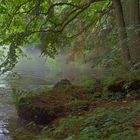 Flusslandschaft: Ufer der Pegnitz