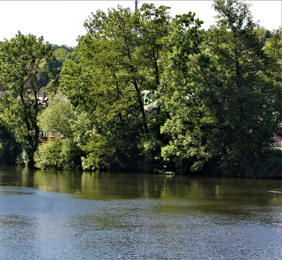 Flusslandschaften rund um Benningen 