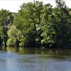 Flusslandschaften rund um Benningen 