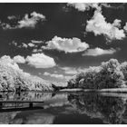 Flusslandschaft_unterer_Inn_2