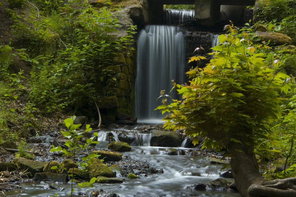 Flusslauf