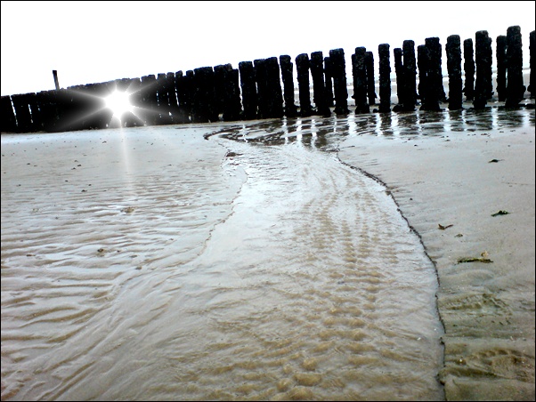 Flusslauf bei Ebbe