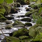 Flußlauf bei "Lauf"...in Baden