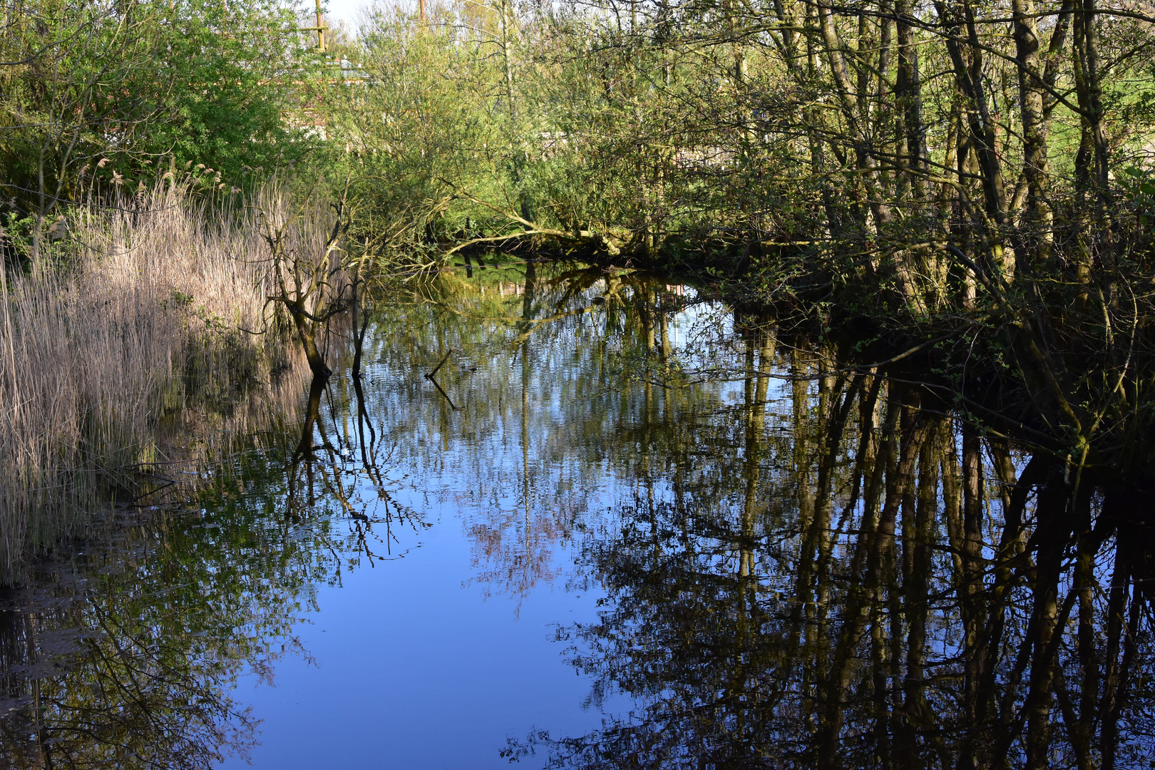 Flußlauf