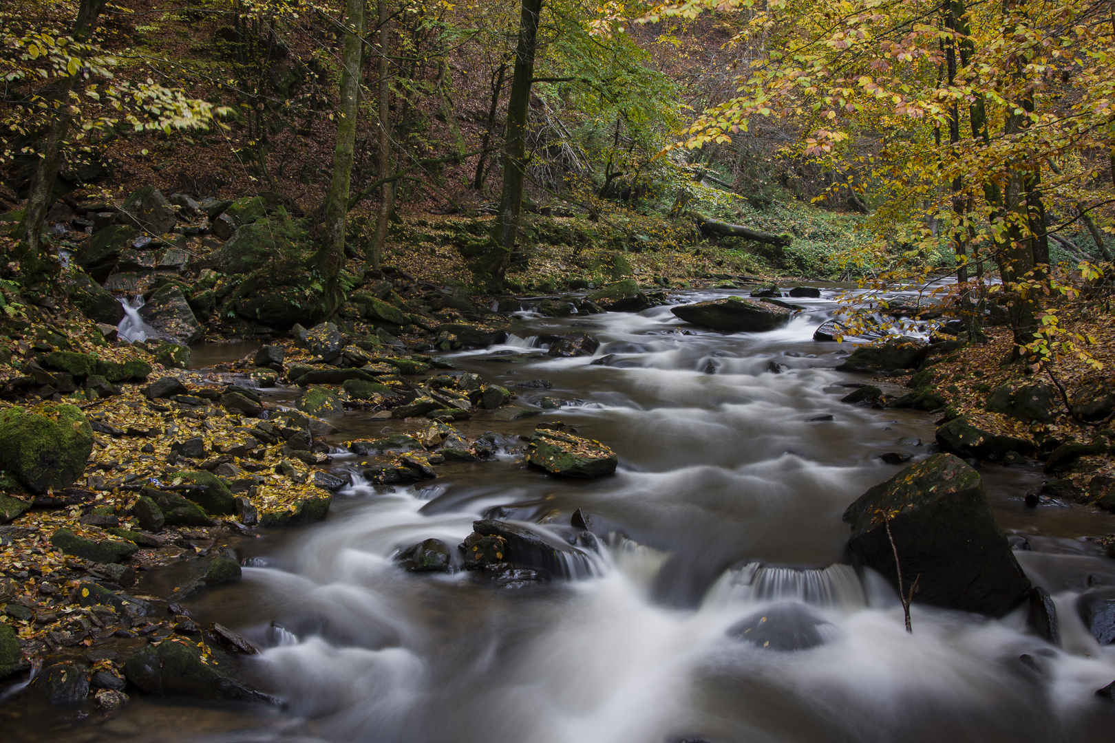 Flusslauf der Lassnitz