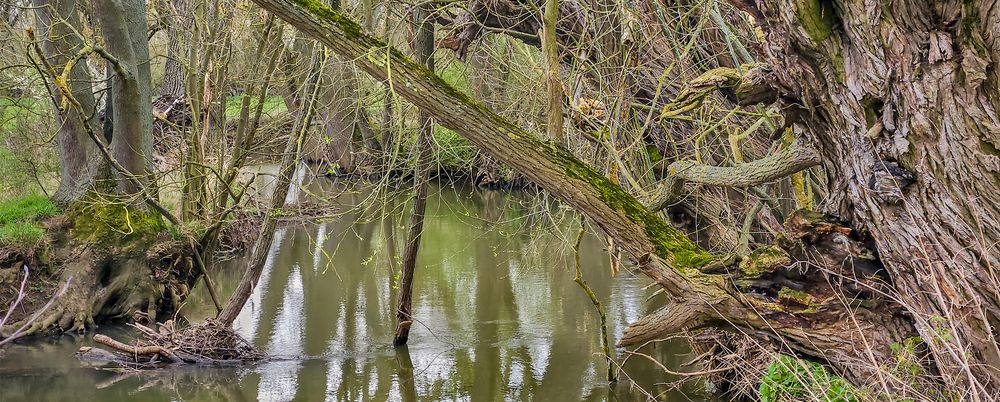 Flusslauf der Wetter - NSG Salzwiesen von Münzenberg (Wetterau)  -2-