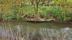 Flusslauf der Wetter - NSG Salzwiesen von Münzenberg (Wetterau)  -3-