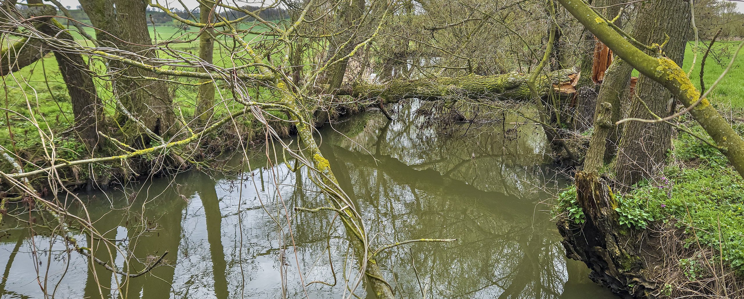 Flusslauf der Wetter - NSG Salzwiesen von Münzenberg (Wetterau)