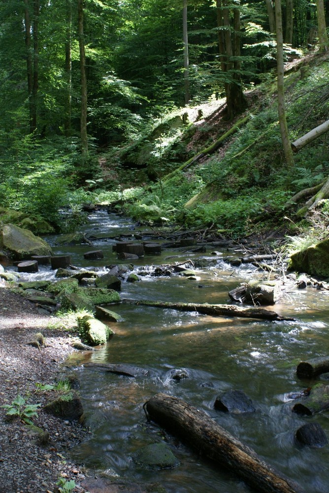 Flusslauf