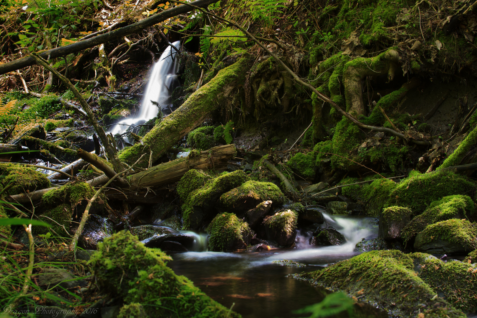 Flusslauf